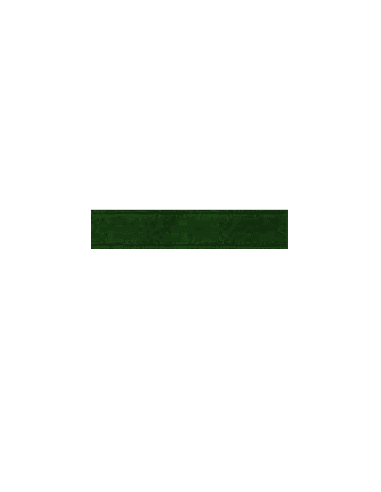 cinta-de-raso-verde-bosque-10-mm-x-25-metros